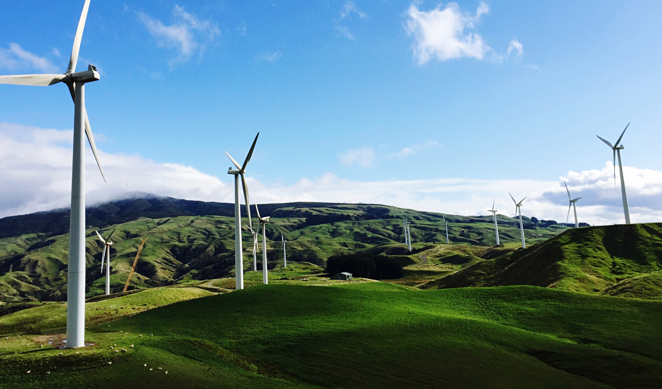 testimonial bg image